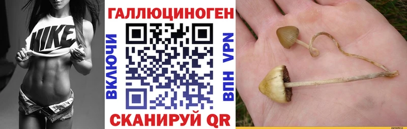 ОМГ ОМГ зеркало  дарнет шоп  Хабаровск  Псилоцибиновые грибы Cubensis 